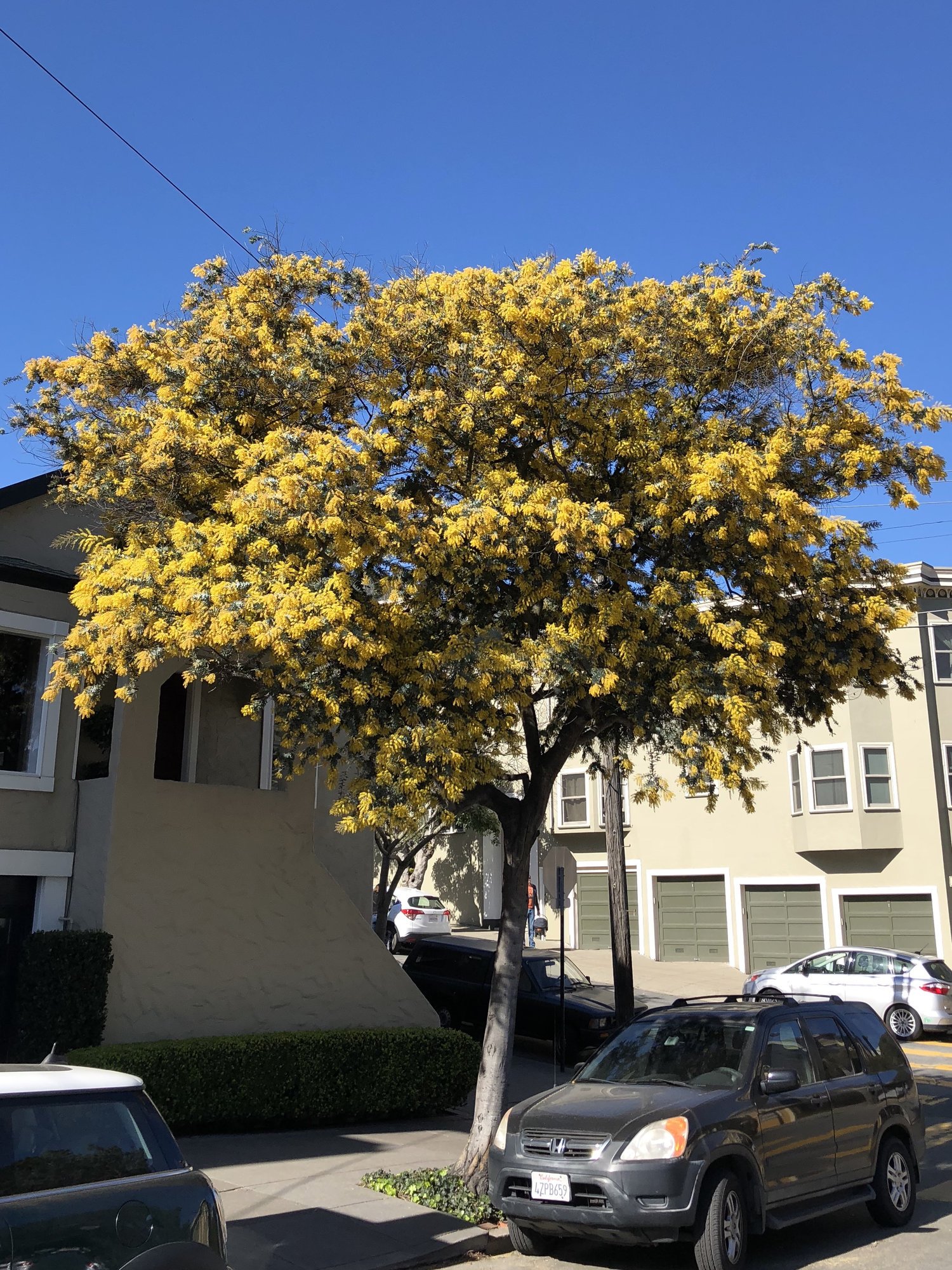 🌳 오부 녹색 공원(오부 미도리 코엔)